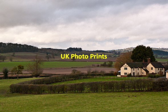Photo 6"x4" Orchard Cottage Ludlow c2012