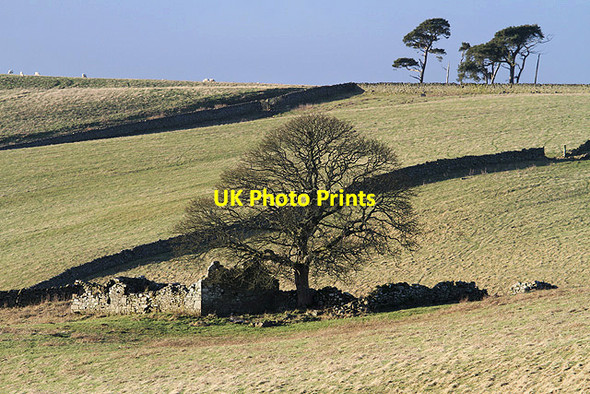 Photo 6"x4" A ruined building near Easter Housebyres Easter Housebyres c2013
