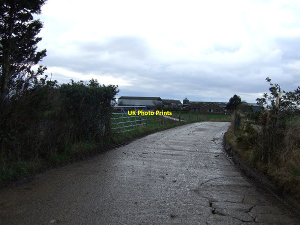 Photo 6"x4" Track to Breckon Hill Shotton\/NZ3625 c2013