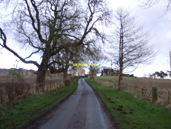 Photo 6"x4" Foxton Lane heading east Foxton\/NZ3624 c2013