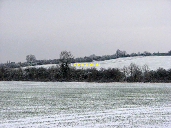 Photo 6"x4" From The Beechwoods to Limekiln Hill Cherry Hinton c2013