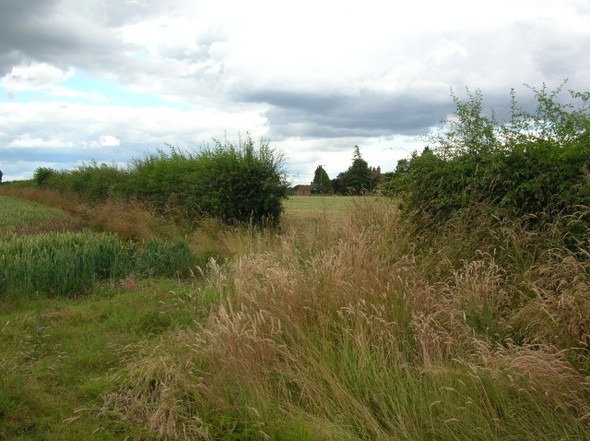 Photo 6"x4" Towards Glebe Farm Skelton\/SE5756 c2008