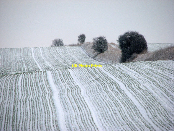 Photo 6"x4" A fold in the hillside Cherry Hinton c2013