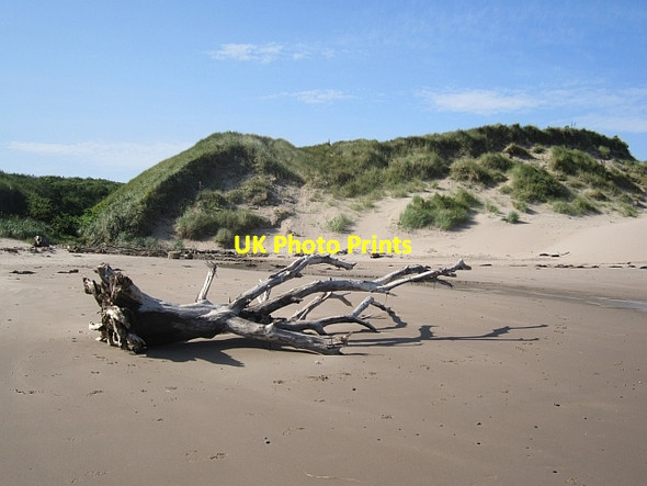 Photo 6"x4" Driftwood, Cheswick Cheswick c2012
