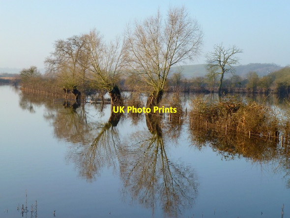Photo 6"x4" Flooded Tirley Marsh, 11 Tirley c2013