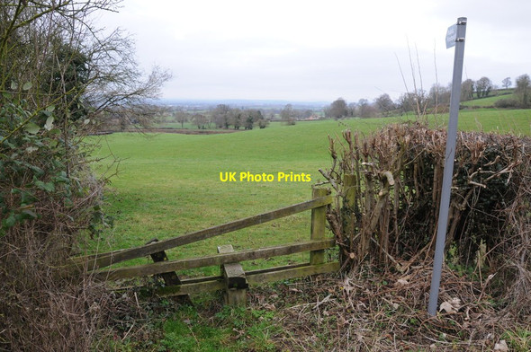 Photo 6"x4" Footpath to Harescombe Edge\/SO8409 c2013
