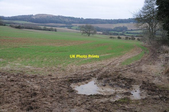Photo 6"x4" A winter Cotswold landscape Horsepools c2013