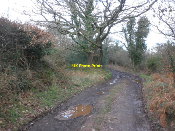Photo 6"x4" Track through Timberscombe Wood Cowbridge\/SS9542 c2013
