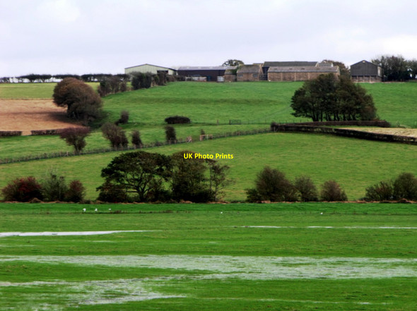 Photo 6"x4" Looking towards Nut Brown Farm, Hooe Hall's Close c2012