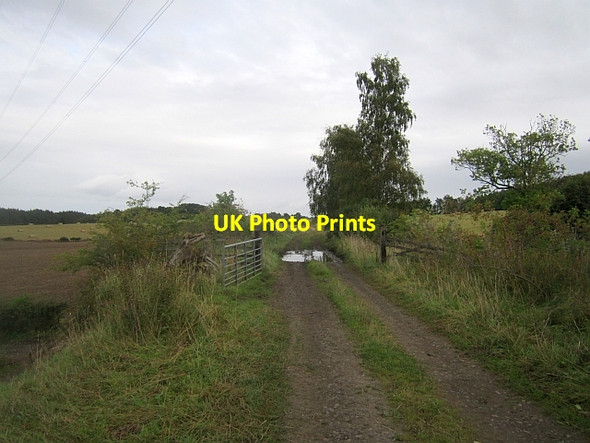 Photo 6"x4" Caledonian Railway trackbed Cargill c2012