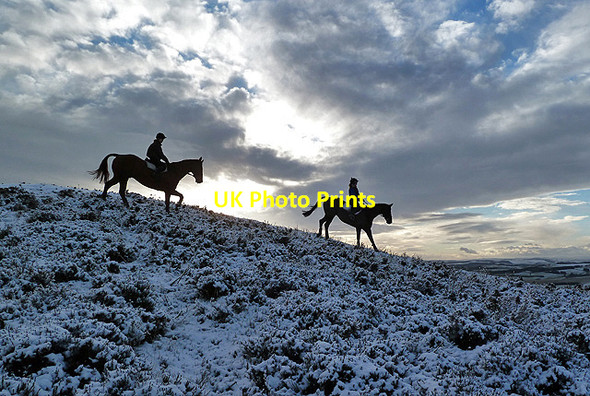 Photo 6"x4" Horse riders on Eildon Wester Hill Faughill c2013