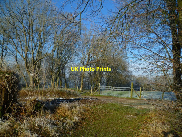 Photo 6"x4" Arrival at the South Downs Way Heyshott c2013
