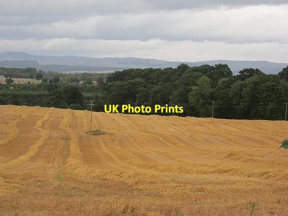 Photo 6"x4" Harvested field near Mains of Stobhall Cargill c2012 P1