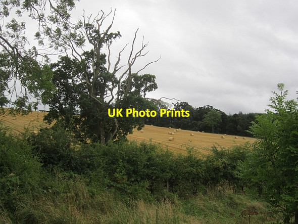 Photo 6"x4" Round bales Wolfhill\/NO1533 c2012