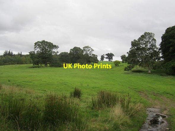 Photo 6"x4" A steep field, Stobhall Wolfhill\/NO1533 c2012