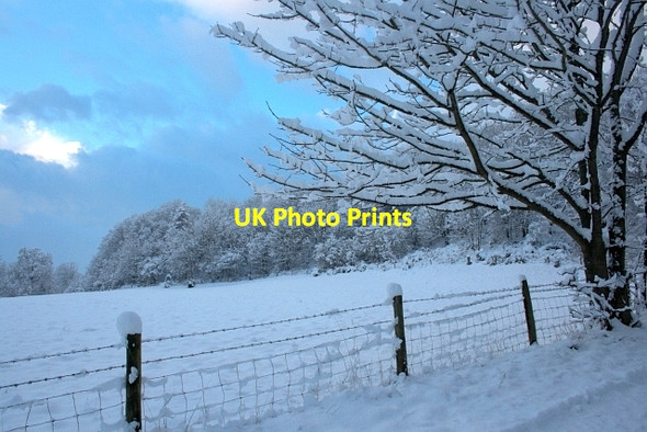 Photo 6"x4" Cliff Ridge Wood Great Ayton c2013