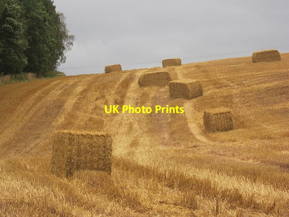 Photo 6"x4" Square bales, Newmiln Guildtown c2012