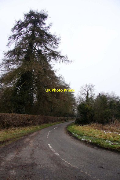 Photo 6"x4" The road to Cleveley Cleveley c2013