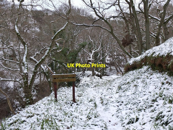 Photo 6"x4" Footpath in Woodhall Dean Spott\/NT6775 c2013