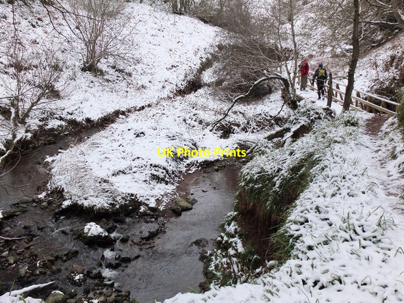 Photo 6"x4" Bridge at Tinker's Leap Spott\/NT6775 c2013