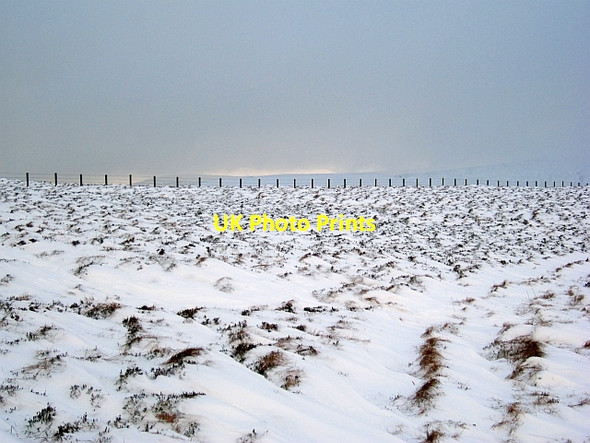 Photo 6"x4" Fence, Lousie Wood Law Elvanfoot c2013