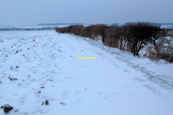 Photo 6"x4" Hedge by the path down to the river Weston Underwood\/SP8650 c2013
