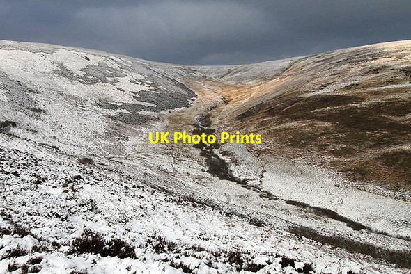 Photo 6"x4" Welldean Hope Yarrow\/NT3527 c2013