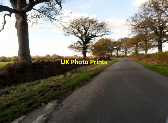Photo 6"x4" Bradfords Lane south of Little Horsted Little Horsted c2012