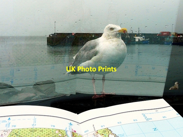Photo 6"x4" Carradale Pier in the rain Carradale c2012