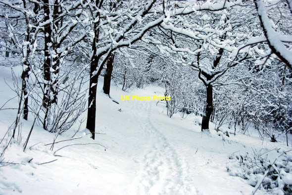 Photo 6"x4" Yeovil Country Park Yeovil c2009