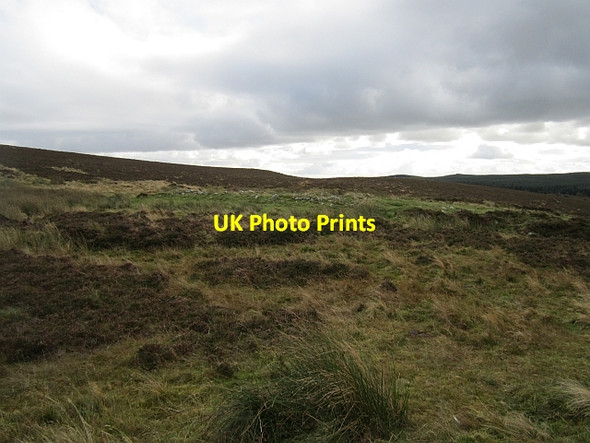 Photo 6"x4" Old field boundary Warenford c2012