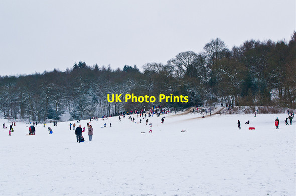 Photo 6"x4" Priory Park in snow Reigate c2013