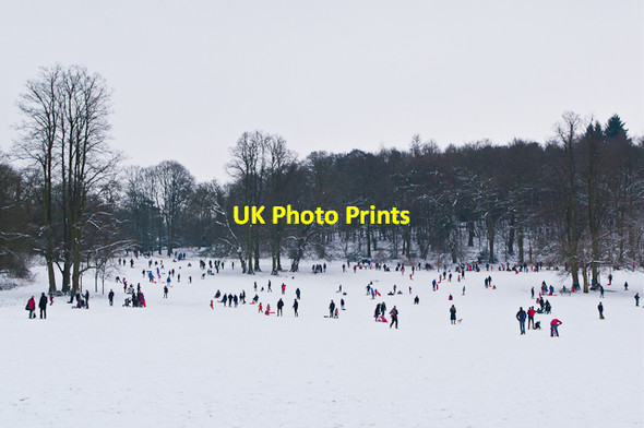 Photo 6"x4" Priory Park in snow Reigate c2013 P2