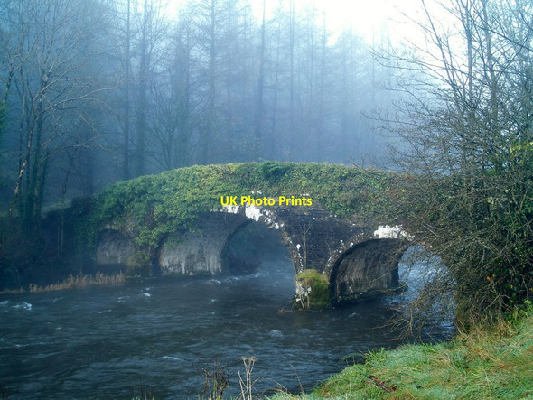 Photo 6"x4" New Bridge Brushford\/SS9225 c2012