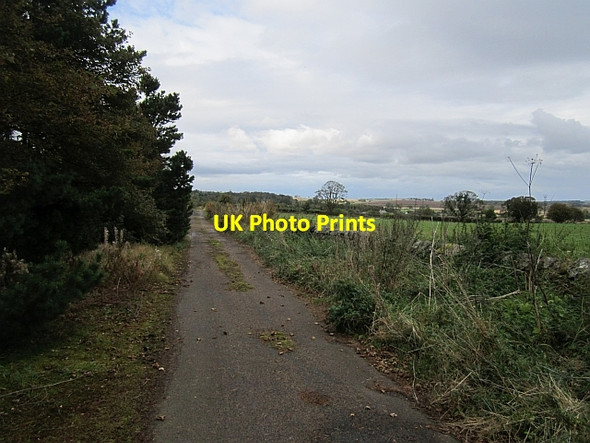 Photo 6"x4" Old road, Warenford Warenford c2012