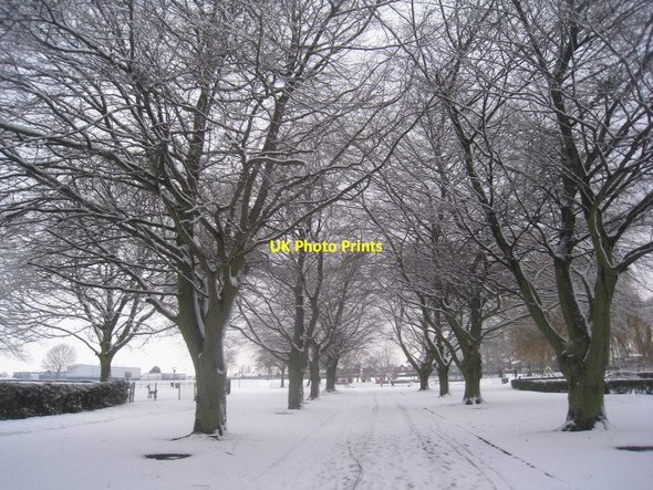 Photo 6"x4" Sheffield Park in the snow Scunthorpe c2013
