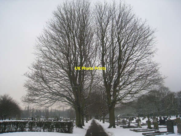 Photo 6"x4" Avenue, Rose Hill Cemetery Doncaster Common c2013