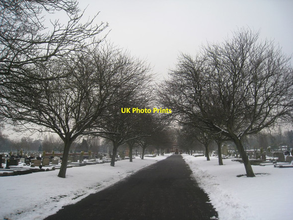 Photo 6"x4" Central Avenue, Rose Hill Cemetery Doncaster Common c2013