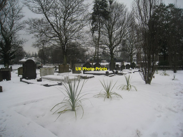 Photo 6"x4" Their first winter? Doncaster Common c2013