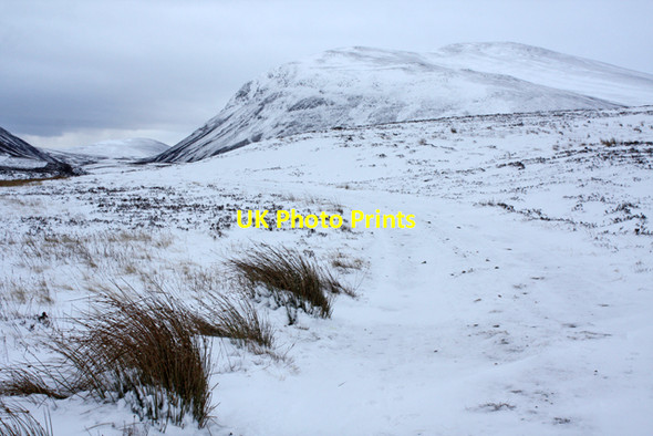 Photo 6"x4" Moorland track near Allt Cuaich Allt Cuaich c2013