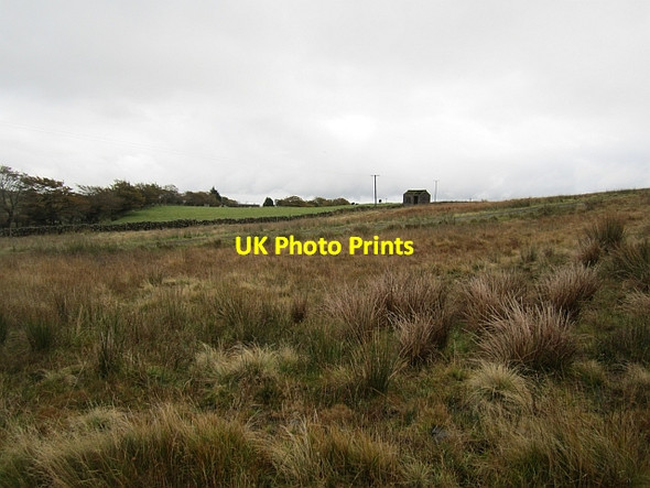 Photo 6"x4" Rough grazing, Big Collin Ballyclare c2012
