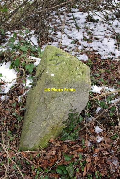 Photo 6"x4" Benchmarked boundary stone beside Steventon Road Milton\/SU4892 c2013