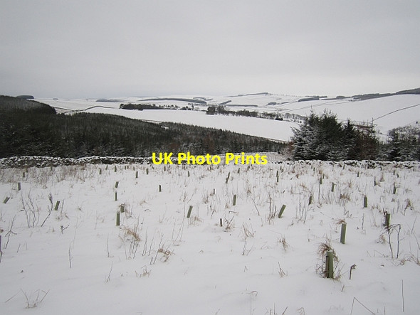 Photo 6"x4" Clearing, Little Cathpair Torquhan c2013