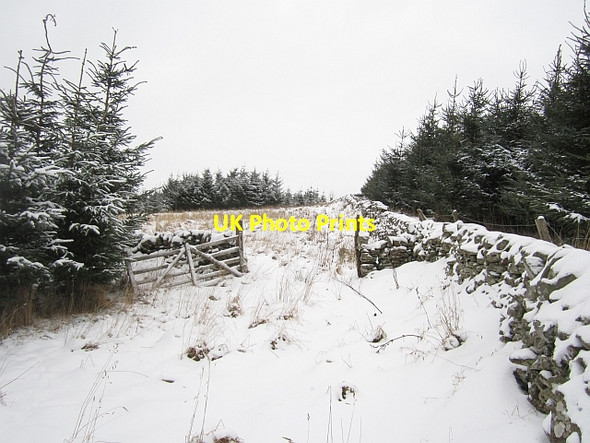 Photo 6"x4" An unplanted field Torquhan c2013