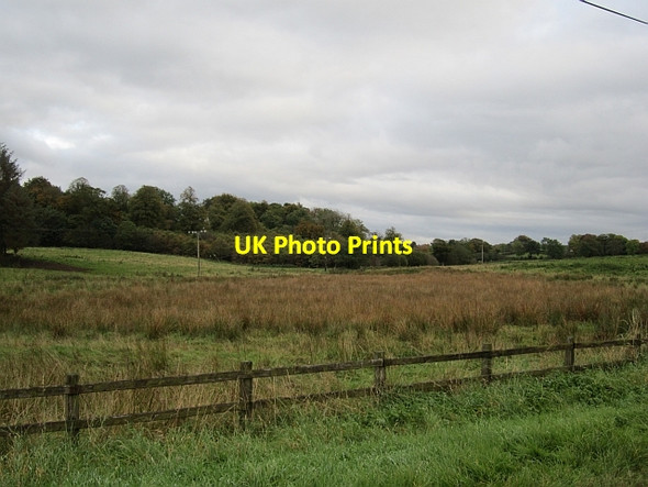 Photo 6"x4" Wet farmland KELLS CONNOR c2012