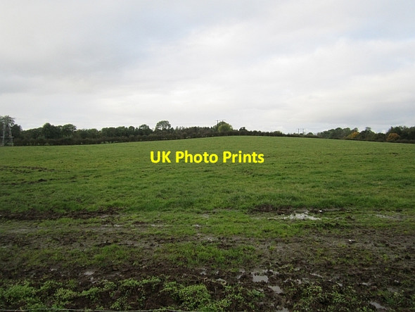 Photo 6"x4" Grass off Ballee Road Killybegs\/J0899 c2012