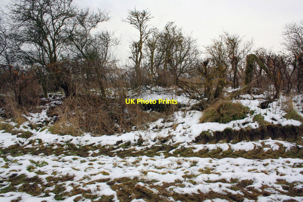 Photo 6"x4" Culvert in field hedge Drayton\/SU4794 c2013