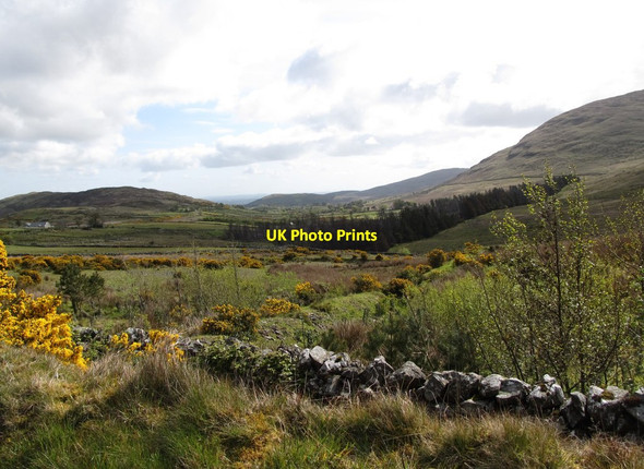 Photo 6"x4" View eastwards along the Shimna Valley Kilcoo c2012