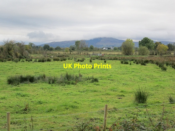 Photo 6"x4" Wet grassland Knockcloghrim c2012