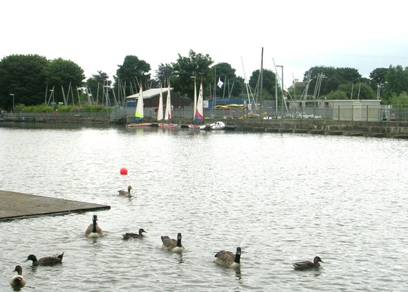 Photo 6"x4" Yeadon Tarn - Tarnfield Park Yeadon c2008